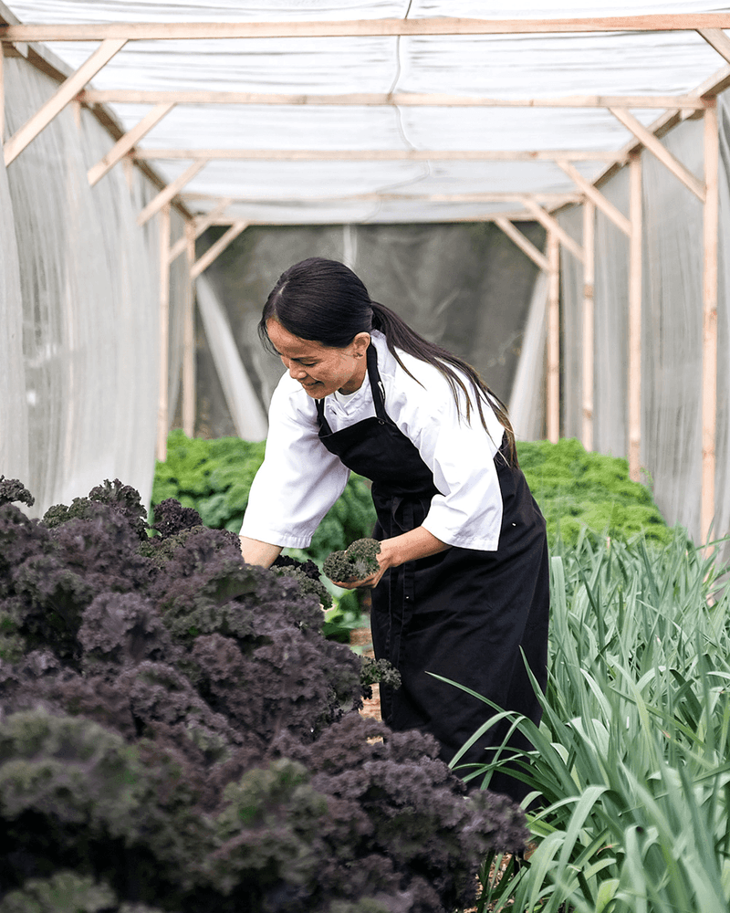 Gourmetophold på Christie's Sdr. Hostrup Kro