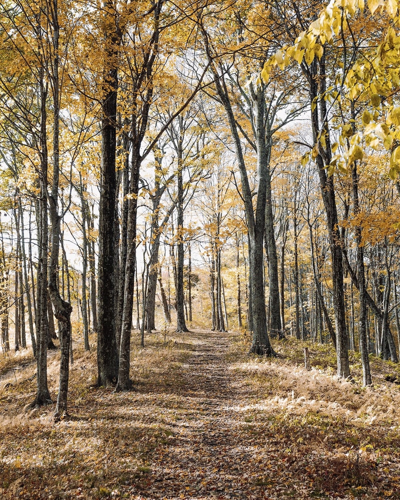 Vinter getaway på Helenekilde Badehotel