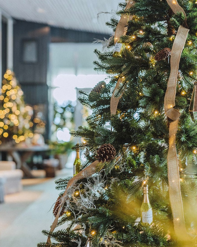 Spa-ophold på Torekov Hotell