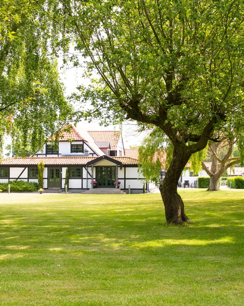 The Cottage på Sydhavsøerne