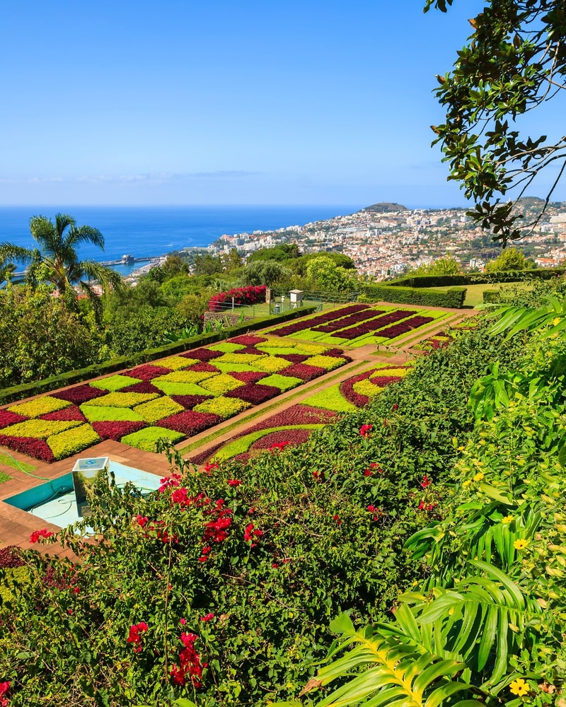 Oplev Madeira med Apollo