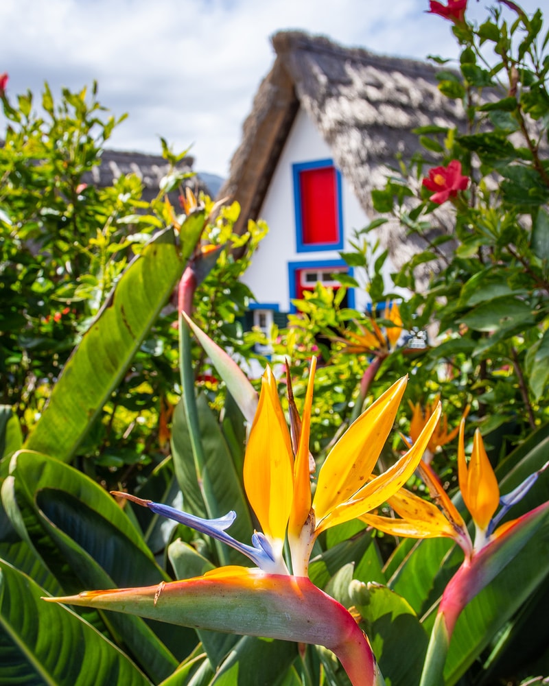 Oplev Madeira med Apollo