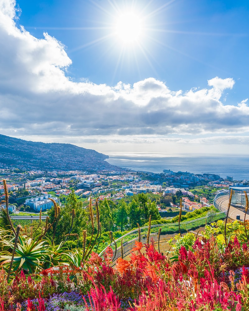 Oplev Madeira med Apollo