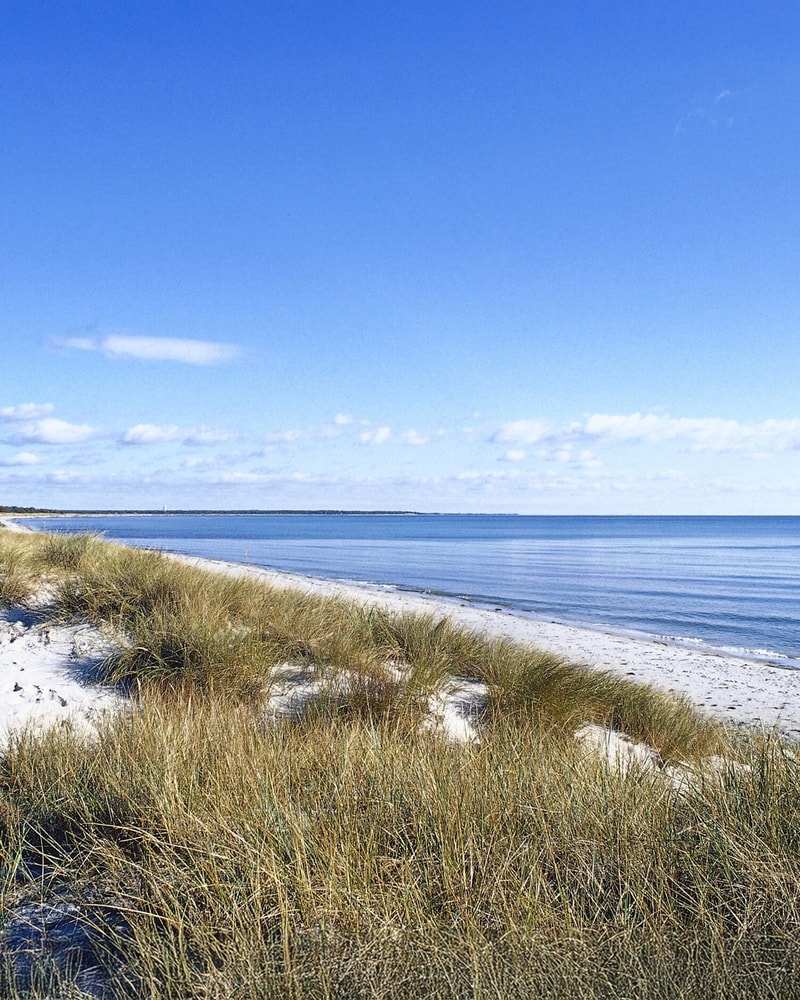 Oplev Hotell Gässlingen