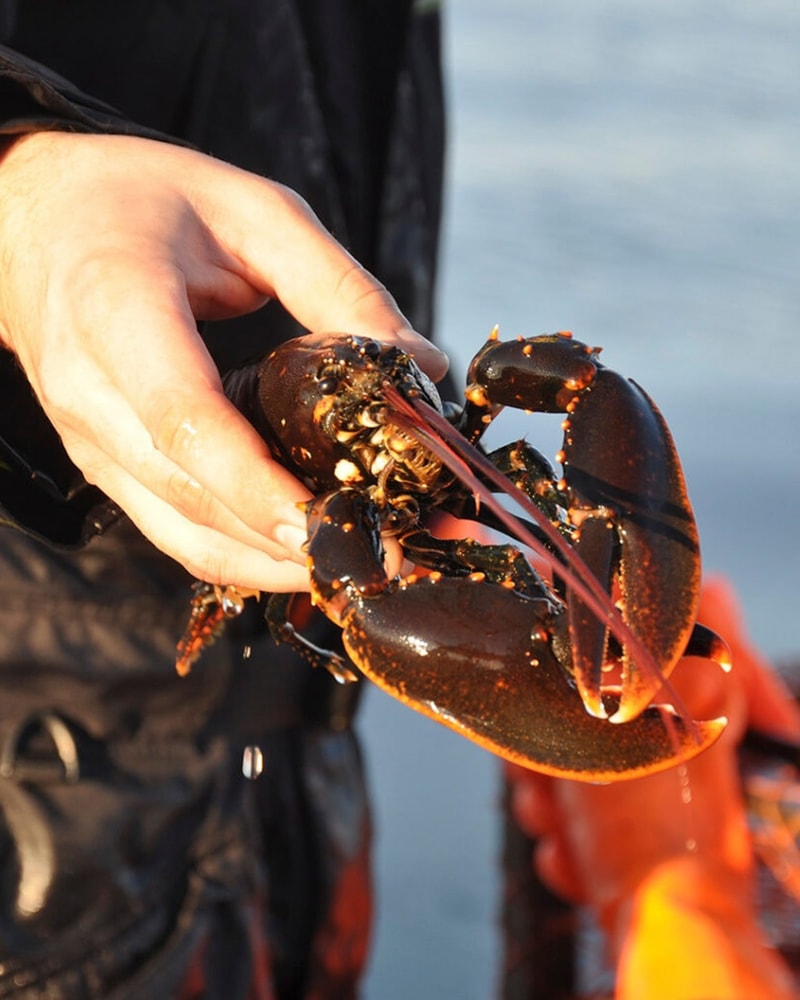 Spa-ophold på Marstrands Havshotell | Spar op til 62 %