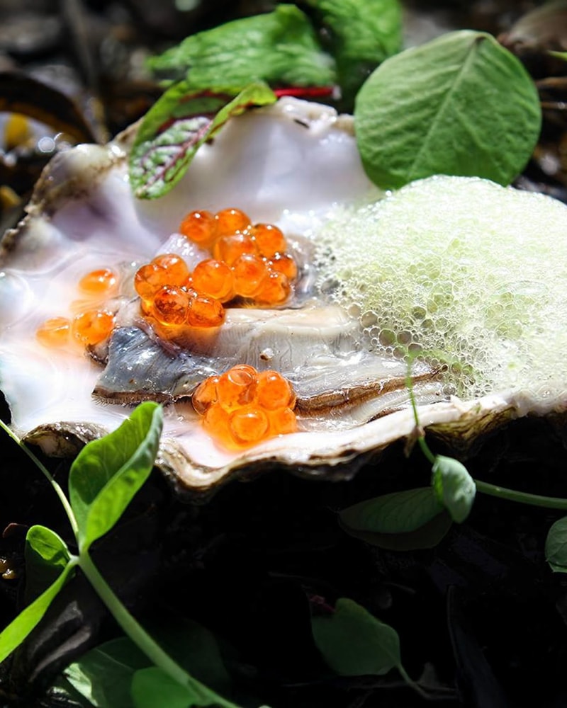 Luksusophold på Mortens Kro