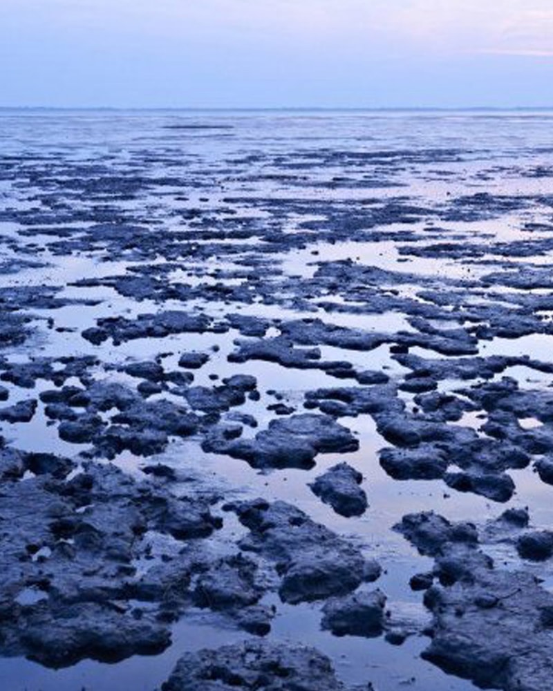 Kommandørgården på Rømø inkl. udflugt til Sild