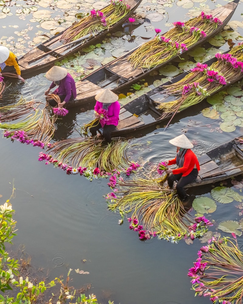 Oplev hele Vietnam fra nord til syd