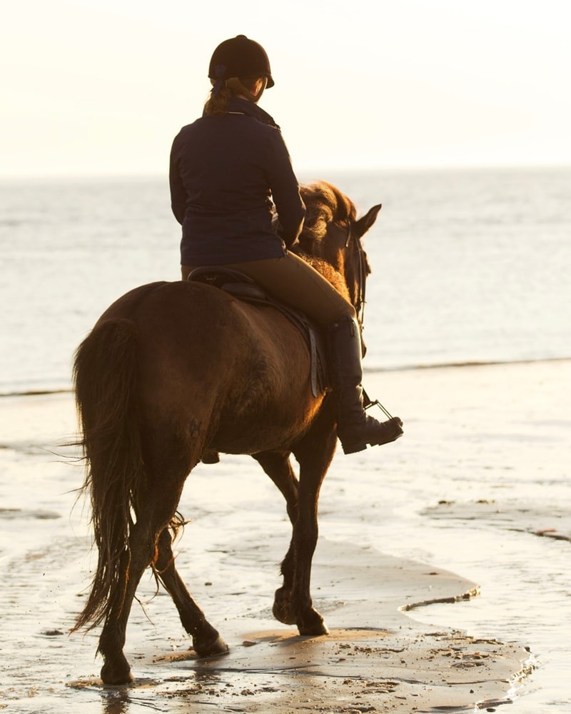 SPAR 40 %: Wellness hos Kommandørgården på Rømø