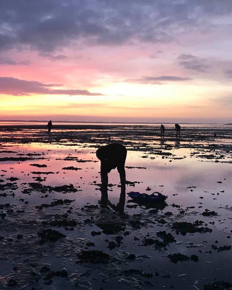 SPAR 40 %: Wellness hos Kommandørgården på Rømø