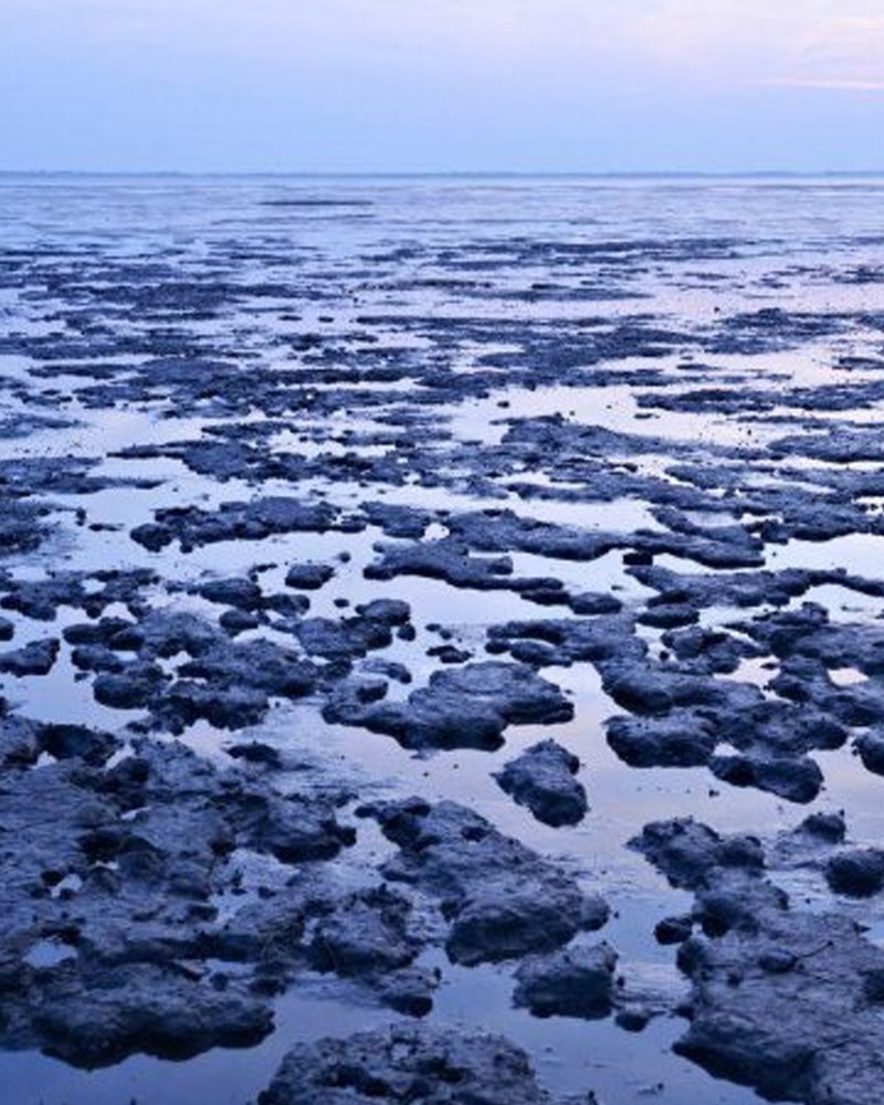 SPAR 40 %: Wellness hos Kommandørgården på Rømø