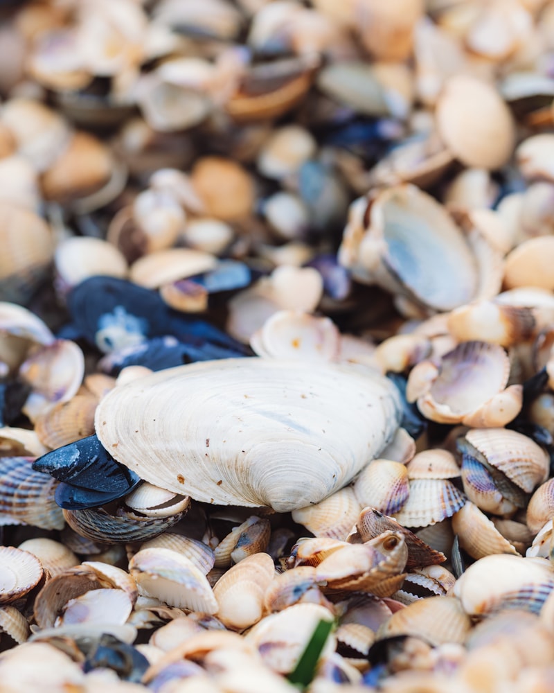 SÆRPRIS: 4-stjernet design-hotel i Sverige