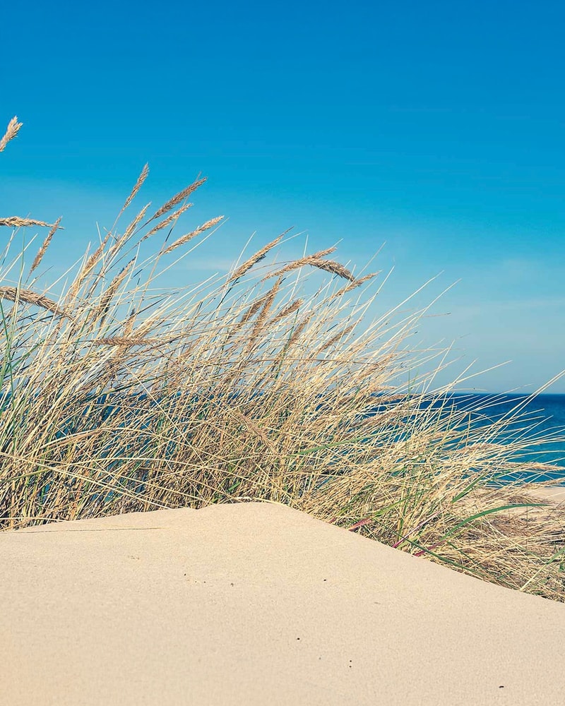 Oplev Liseleje Badehotel i Nordsjælland