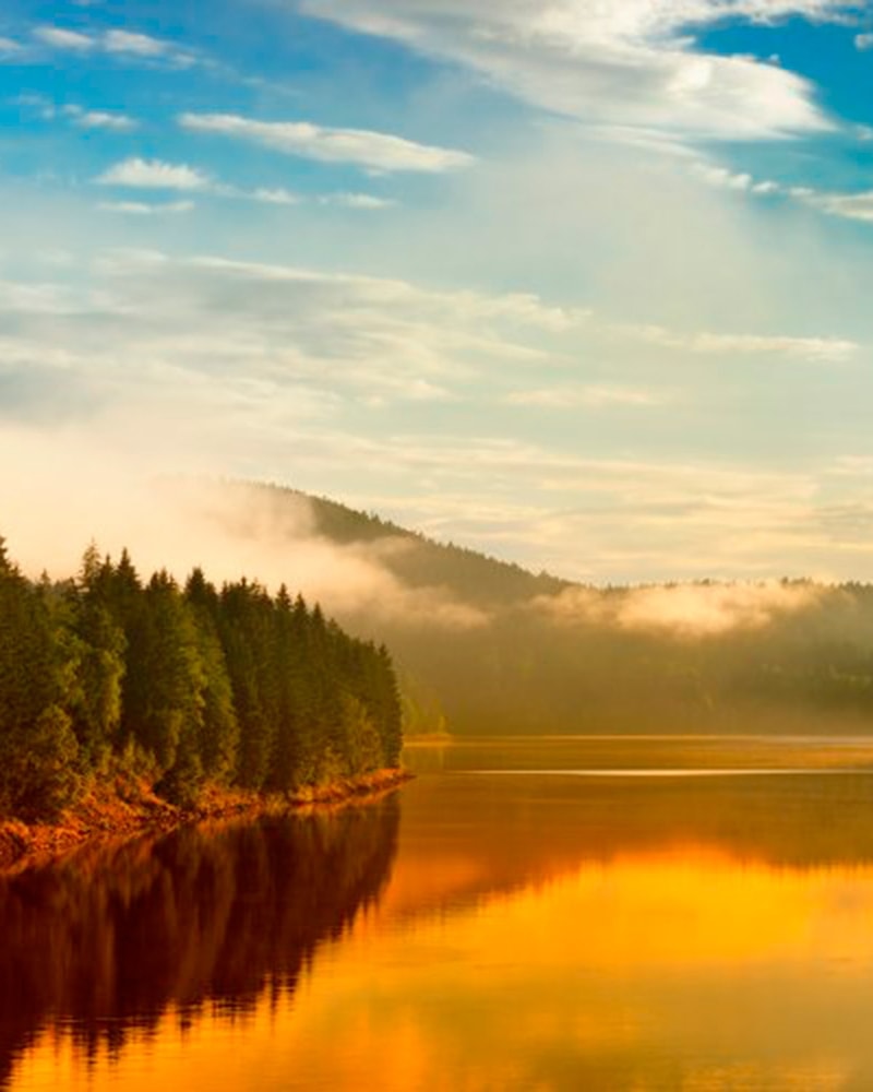 All Inclusive: Hotel Harzöhe | 3 overnatninger