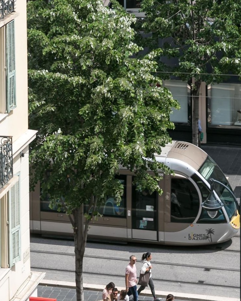 3-Stjernet Storbyferie i Smukke Nice