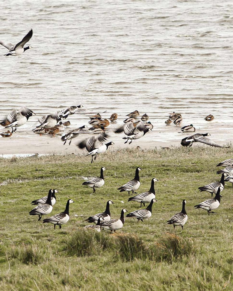 Getaway til Nordtyskland