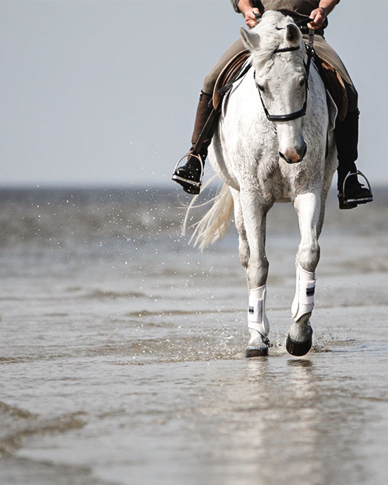 Getaway til Nordtyskland