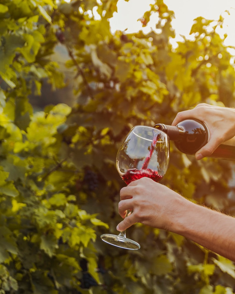 Sommer i charmerende Bordeaux