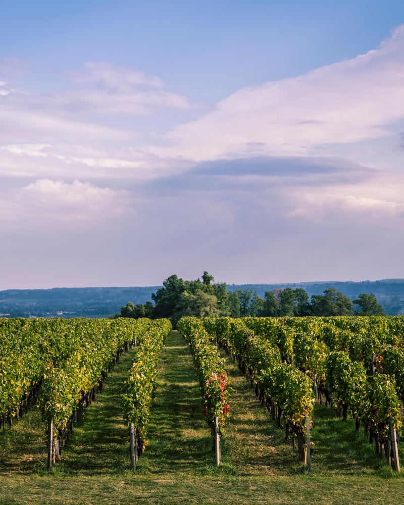 Sommer i charmerende Bordeaux