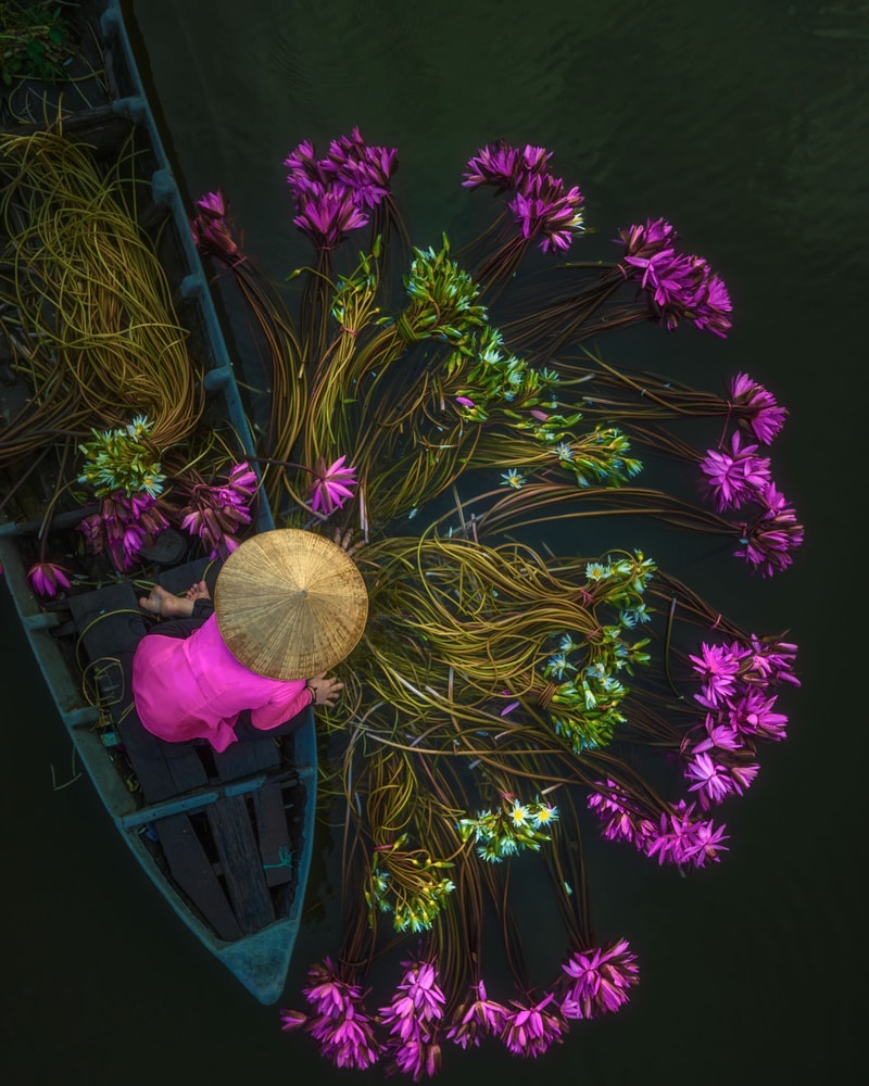 Drømmerejse til det sydlige Vietnam