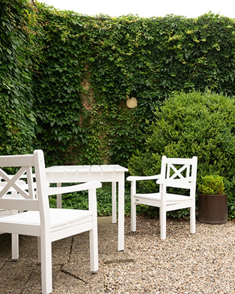 Sort Sol-Safari i Tønder