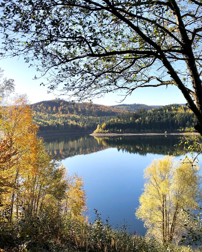 All Inclusive-ferie i Harzen