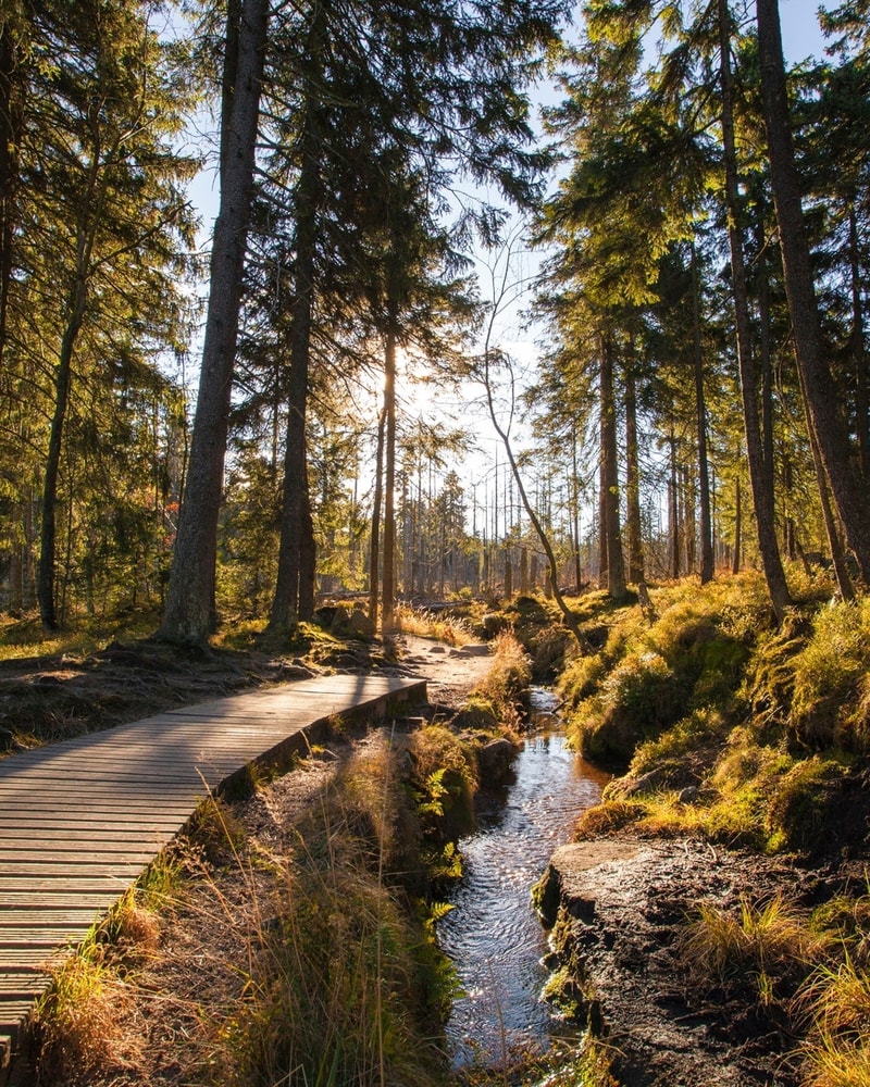 All Inclusive-ferie i Harzen