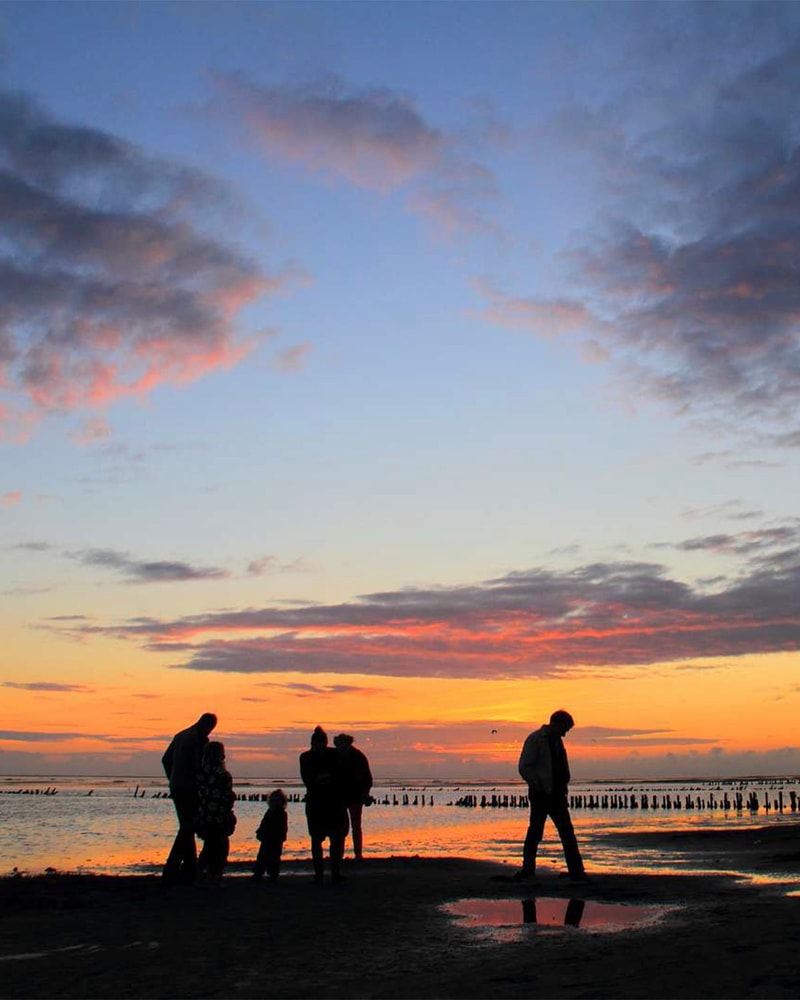 Østerssafari i Vadehavet - Kommandørgården Rømø