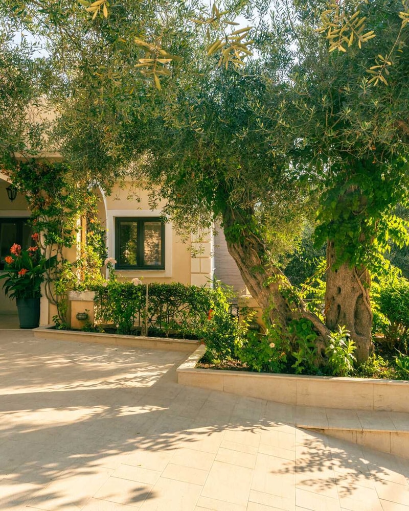 Voksenferie til Sivota med Apollo