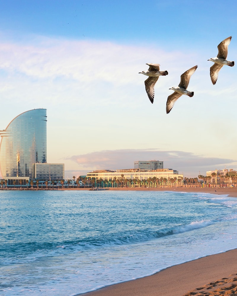 Oplev smukke Barcelona