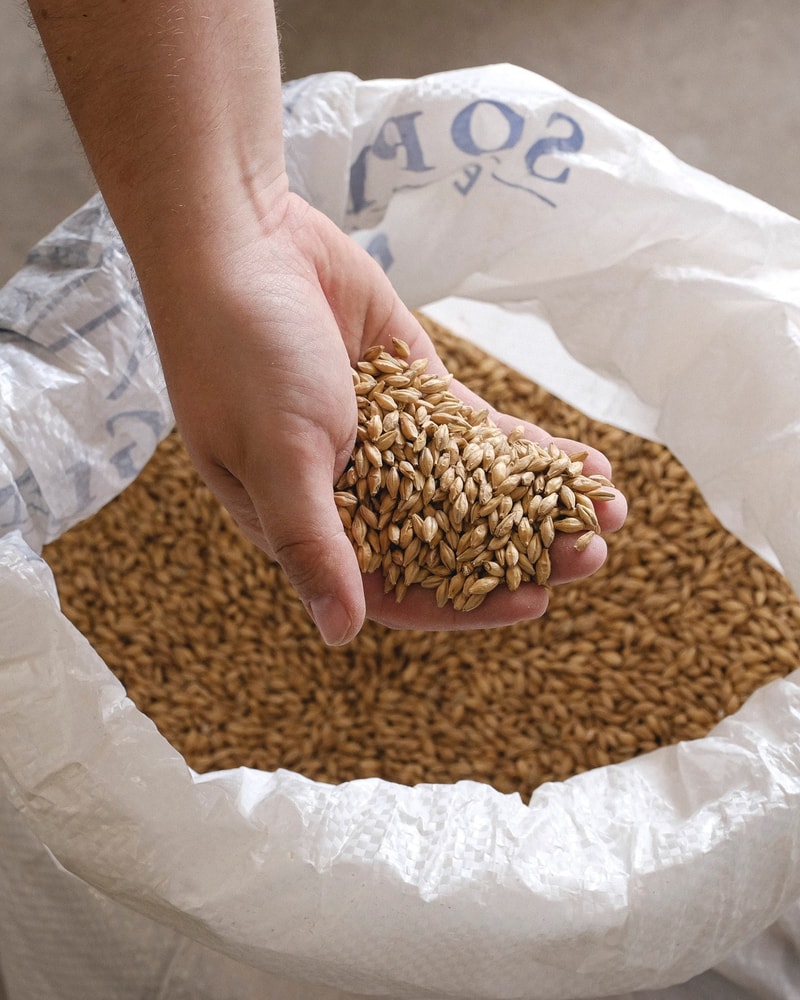 Frit valg på Øl @ Kasper Brew Co. - Specialøl fra Populært Mikrobryggeri