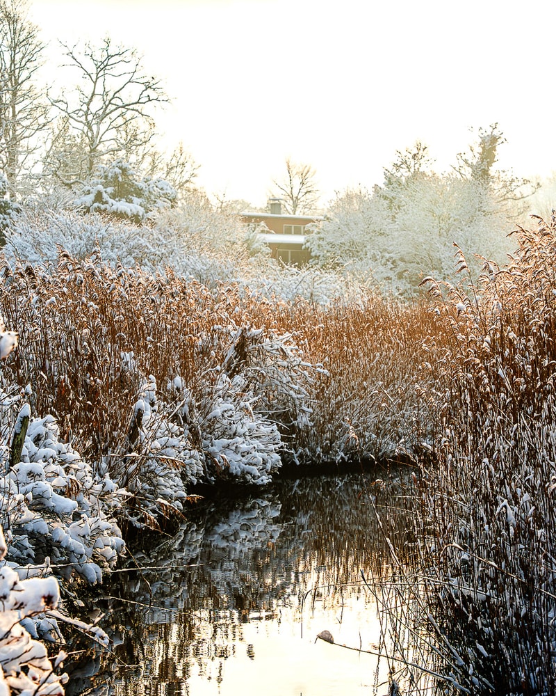 SÆRPRIS: Intermar Hotel & Apartments