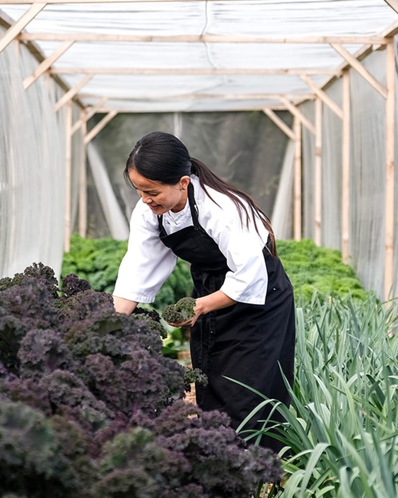 NYHED: Eksklusivt gourmetophold i Panoramahytter