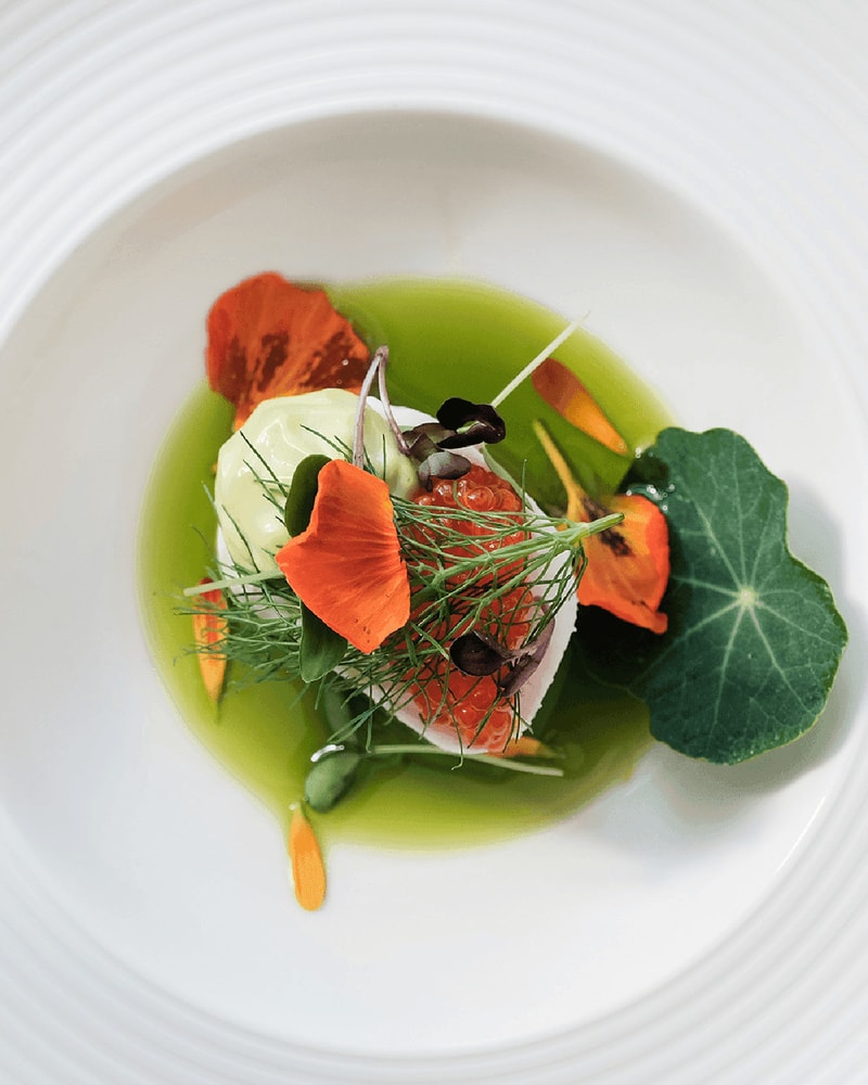 NYHED: Eksklusivt gourmetophold i Panoramahytter