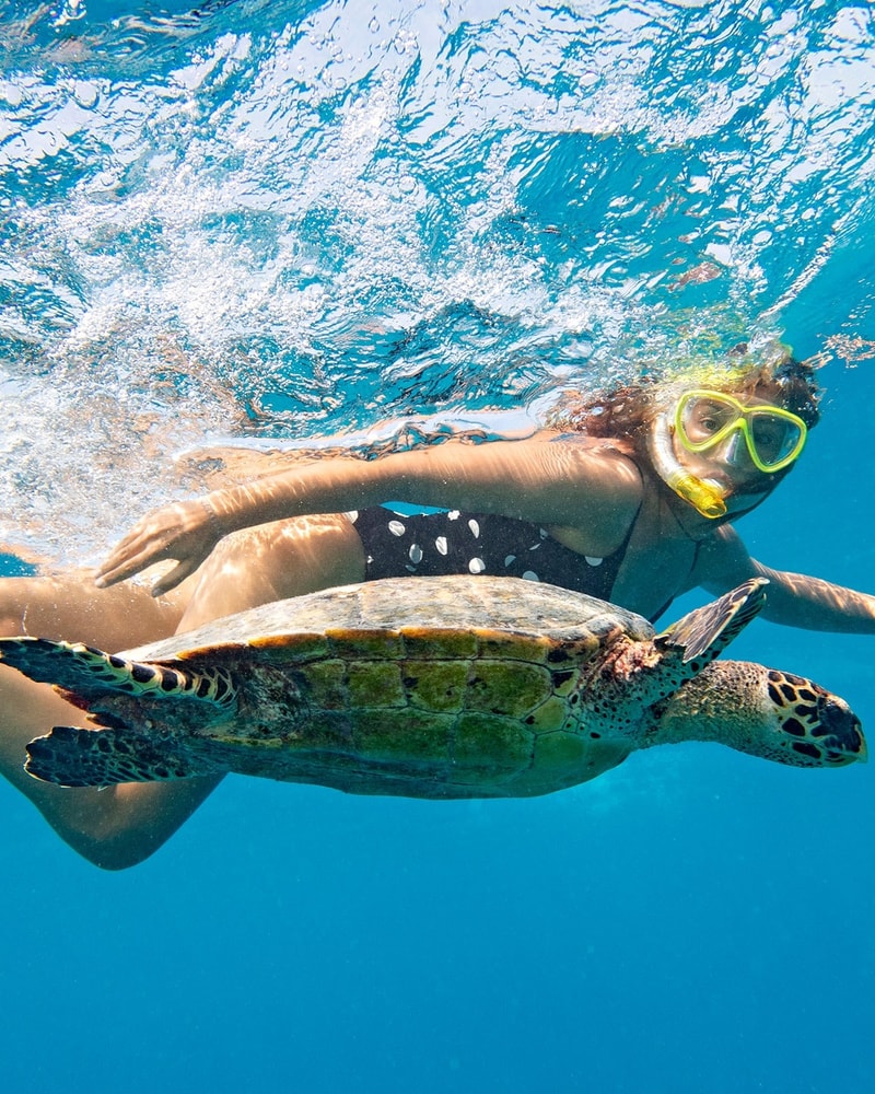 Drømmerejse til Bali