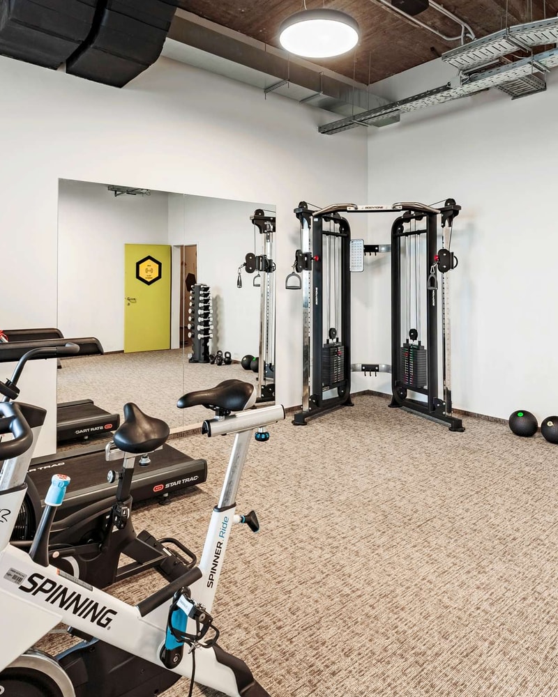 Rejs til den eventyrlige hovedstad - Ljubljana