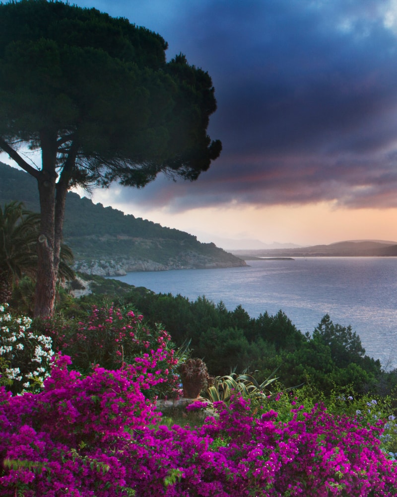 Oplev smukke Sardinien