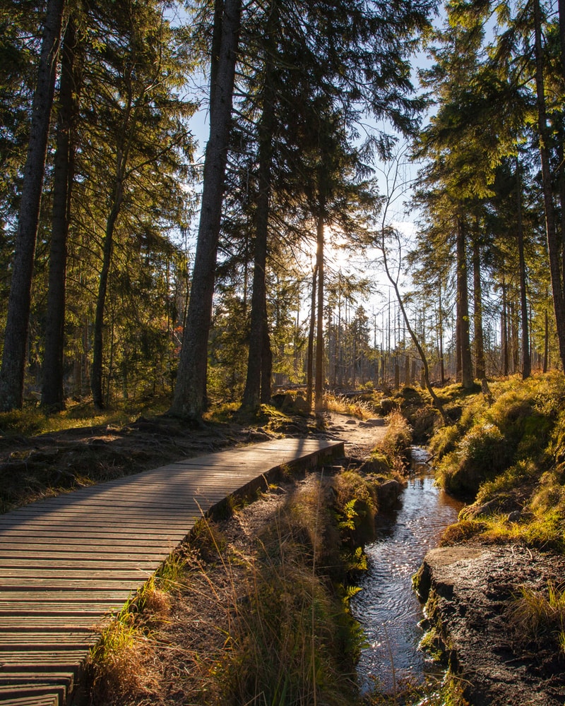 All Inclusive: Hotel Harzhöhe | 3 overnatninger