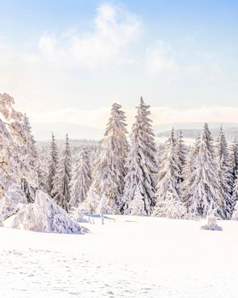 All Inclusive: Hotel Harzhöhe | 3 overnatninger