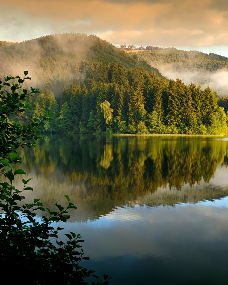 All Inclusive: Hotel Harzhöhe | 3 overnatninger