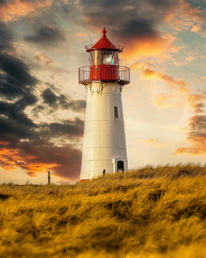 Østerssafari og fiskebuffet på Kommandørgården Rømø