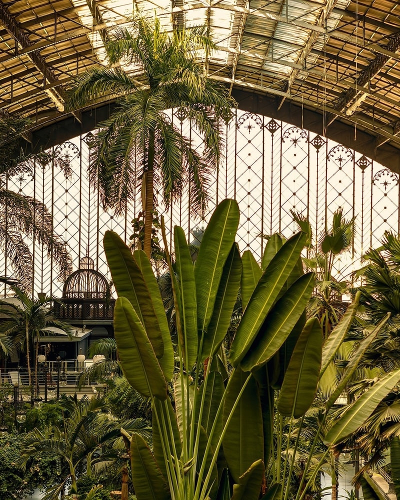 Oplev Madrid - Rejs til Spaniens Hovedstad