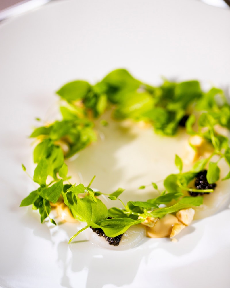 NYHED: Spa-ophold på Broløkke Herregård