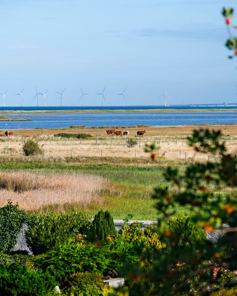 Oplev Hotell Gässlingen