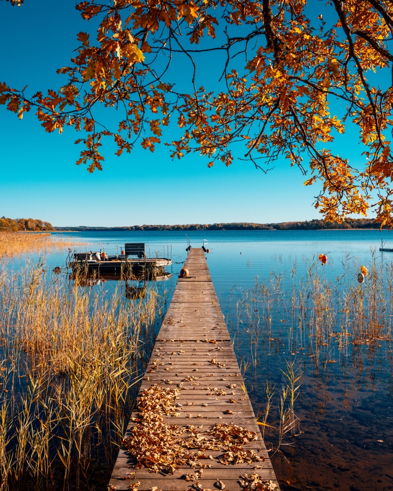 SÆRPRIS: 4-Stjernet Design-Hotel i Sverige