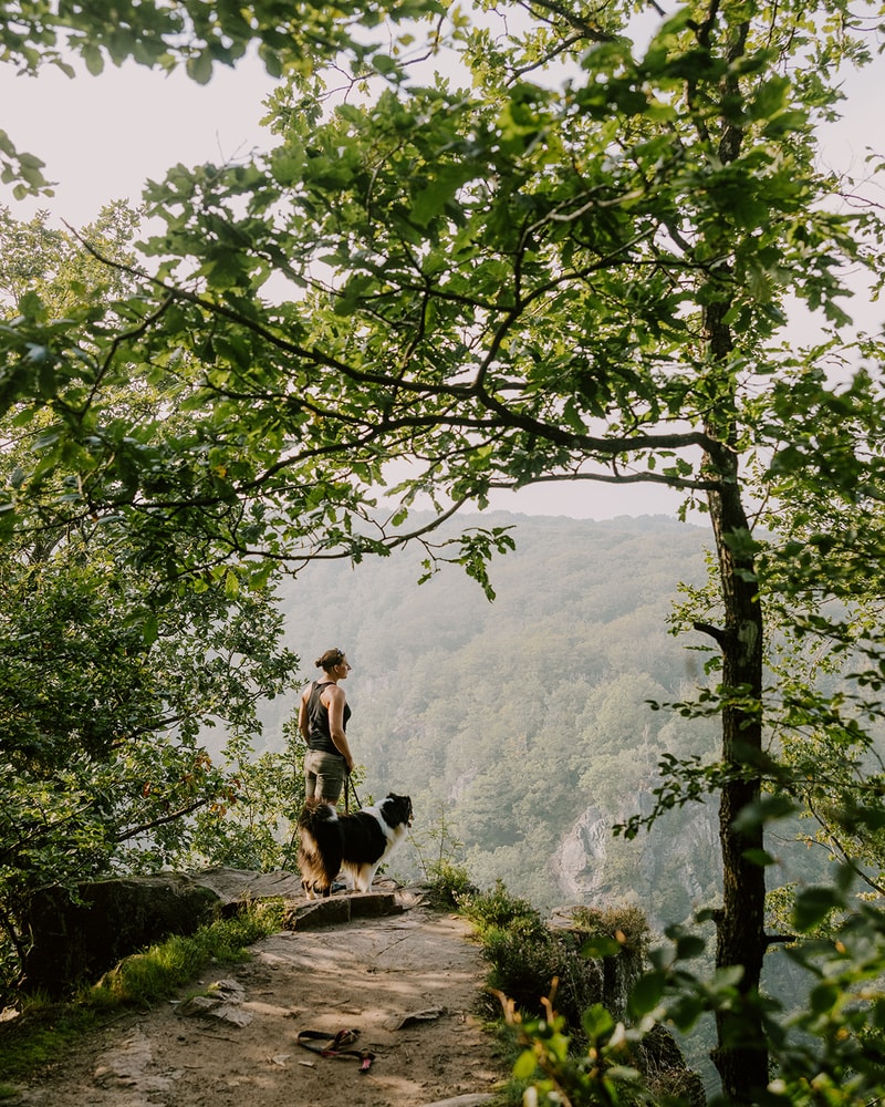 Spa eller gourmet på Nackarpsdalen Gästgiveri i Skåne