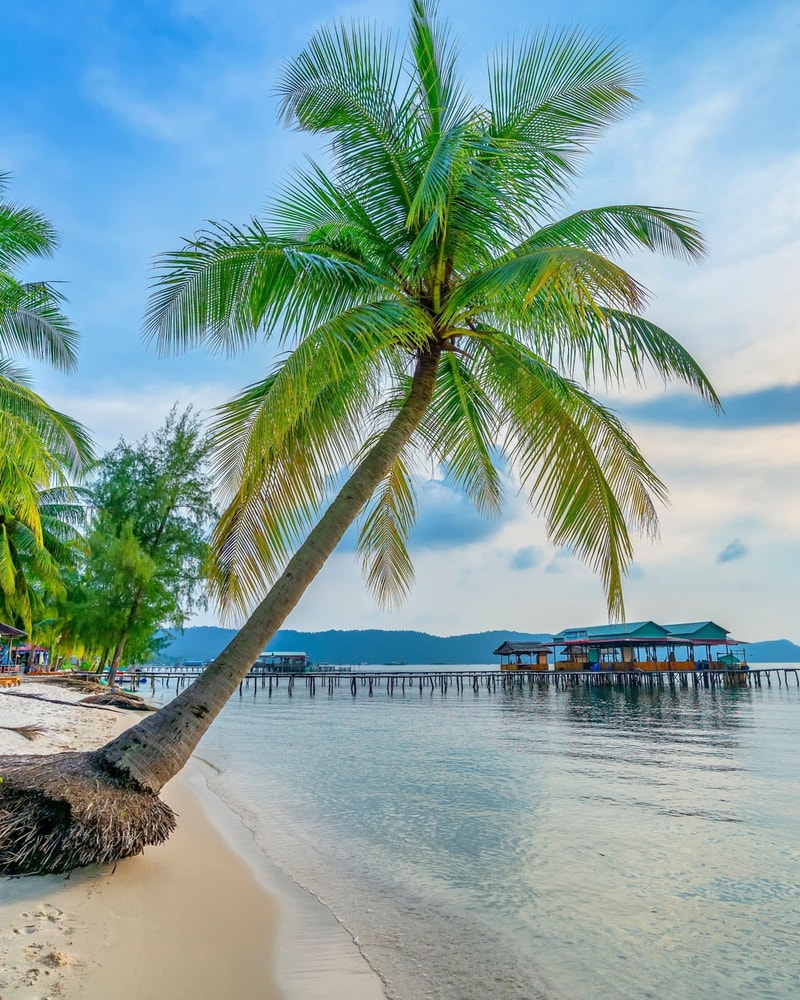 Drømmerejse til det sydlige Vietnam