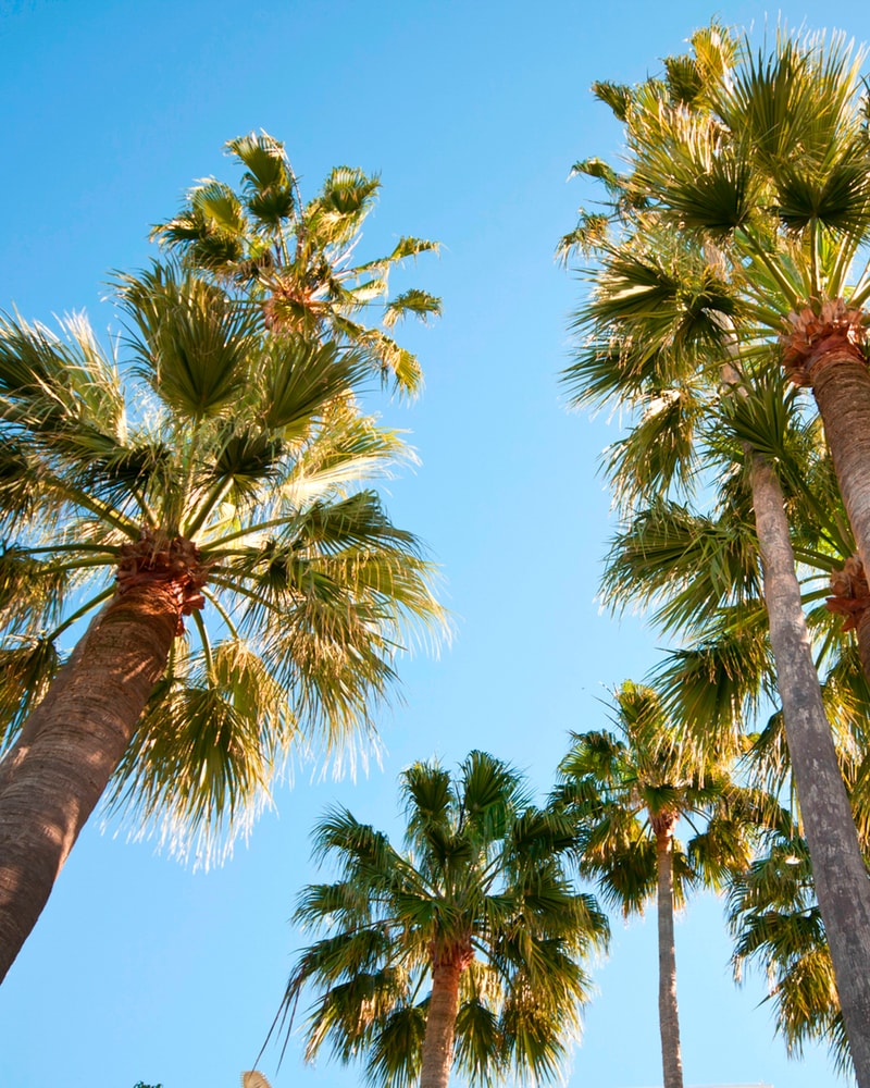 Oplev Den Franske Riviera - Bo i Cannes