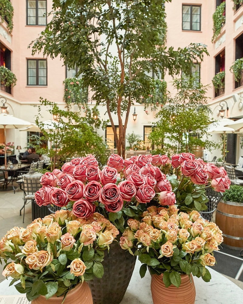 Bo på det prisvindende MJ'S