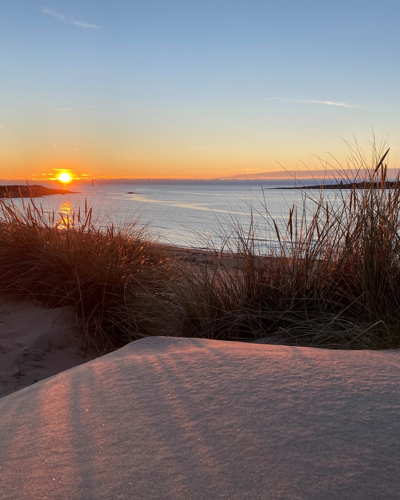 SÆRTILBUD: Eksklusivt ophold på Hotel Tylösand